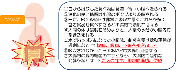 ｆｏｄｍａｐ 診療のご案内 田中消化器科クリニック 静岡市で内視鏡検査 胃カメラ 大腸カメラ を実施