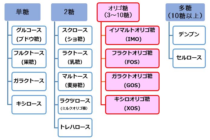 No 0 オリゴ糖とは アンチエイジングトピックス 田中消化器科クリニック 静岡市で内視鏡検査 胃カメラ 大腸カメラ を実施