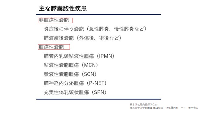 膵嚢胞性疾患