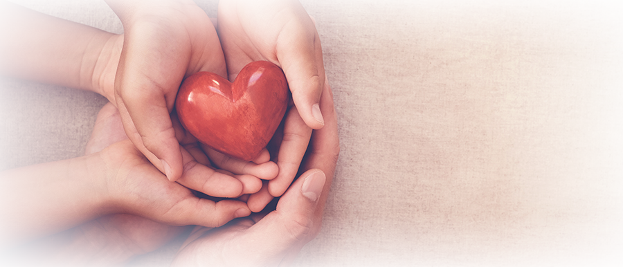 “感動を呼ぶクリニック創り”の歴史