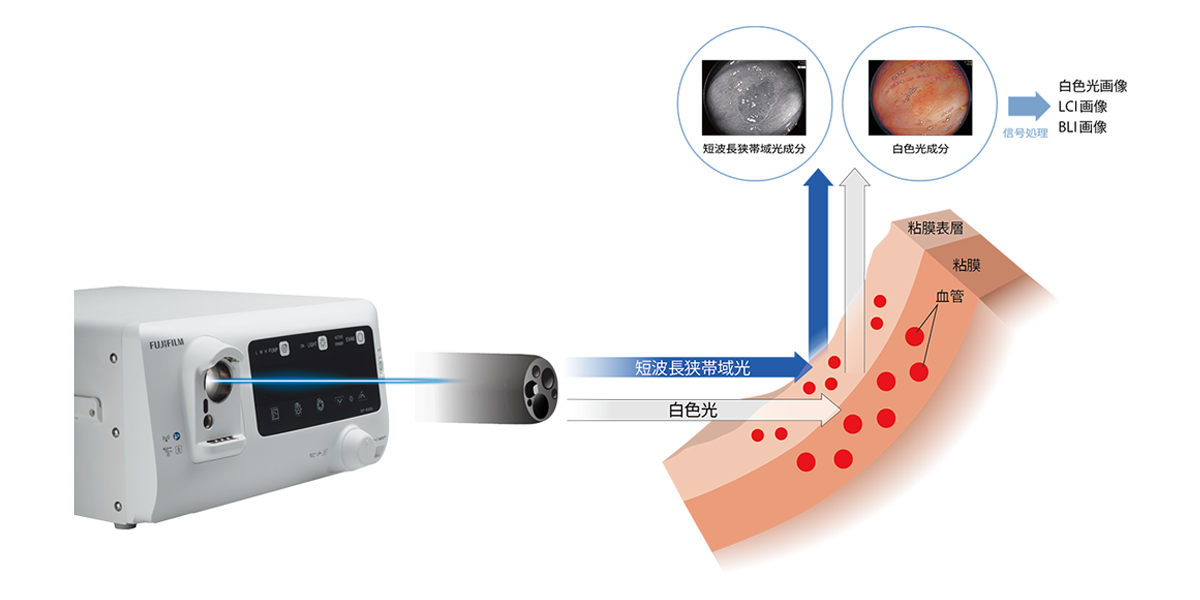 高出力LEDのイメージ