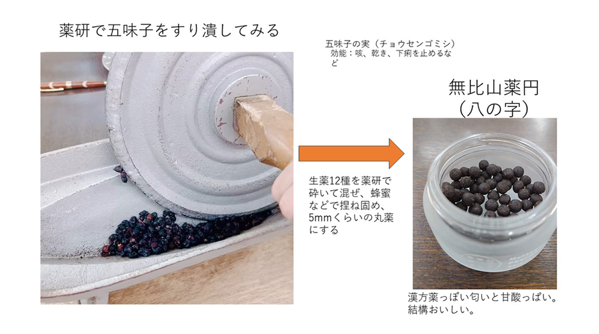 薬研で五味子をすり潰す様子