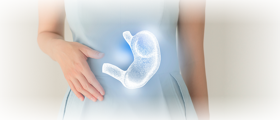 健やかな食道と胃のイメージ