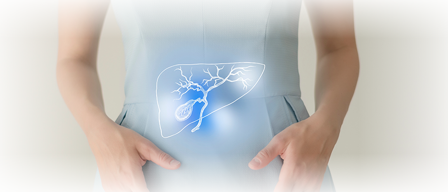 健やかな肝臓・胆のう・膵臓のイメージ