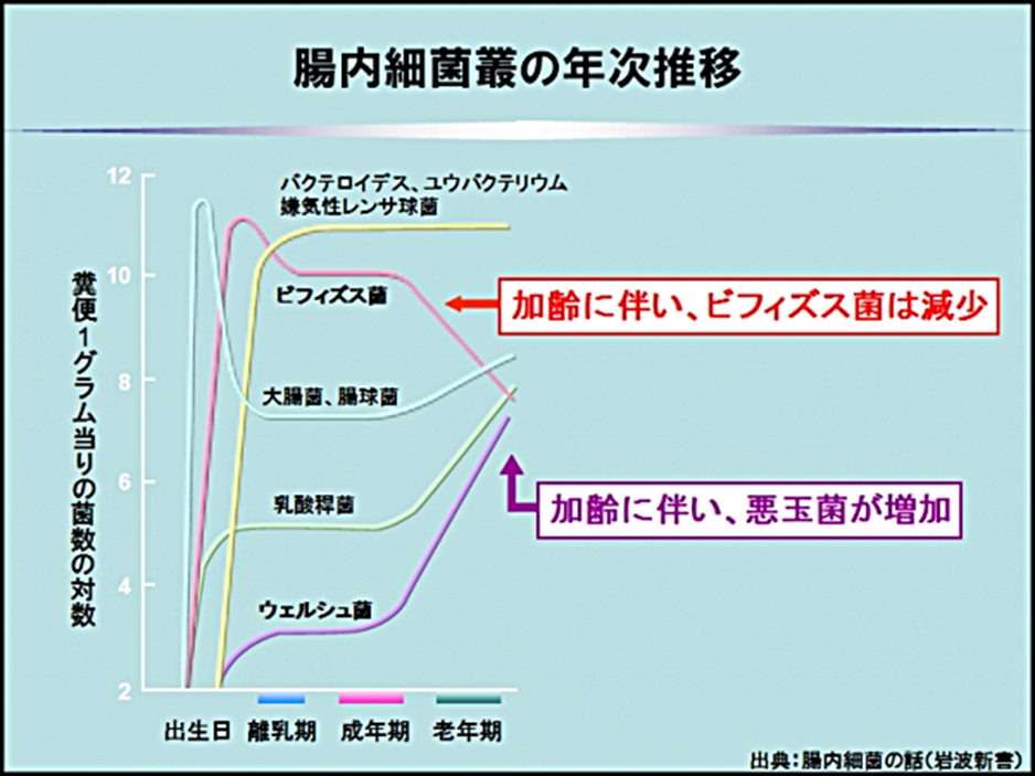 腸内細菌叢の年次推移