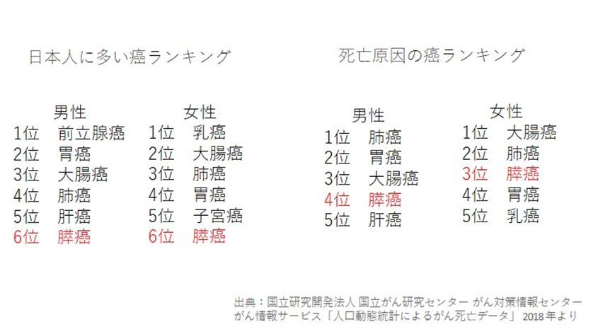 日本人に多い癌
死亡原因の癌