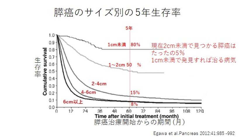 膵癌のサイズ別の5年生存率
