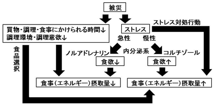 食事(エネルギー)摂取量の変化をもたらす被災の影響