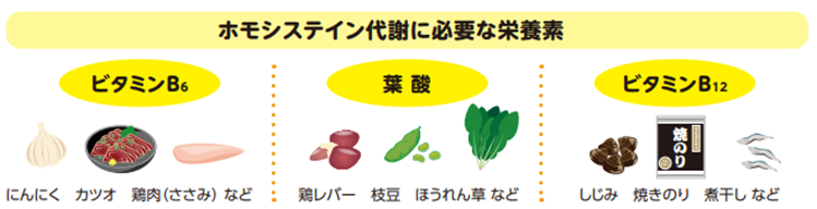 ホモシステイン代謝に必要な栄養素