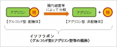 イソフラボン