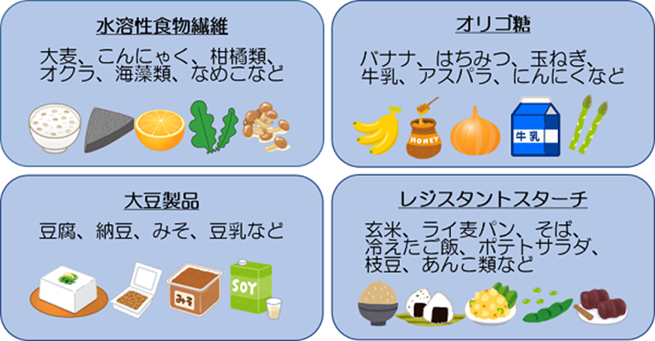 水溶性食物繊維、オリゴ糖、大豆製品、レジスタントスターチ