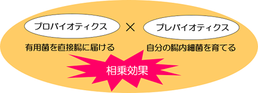 プロバイオティクス、プレバイオティクス
